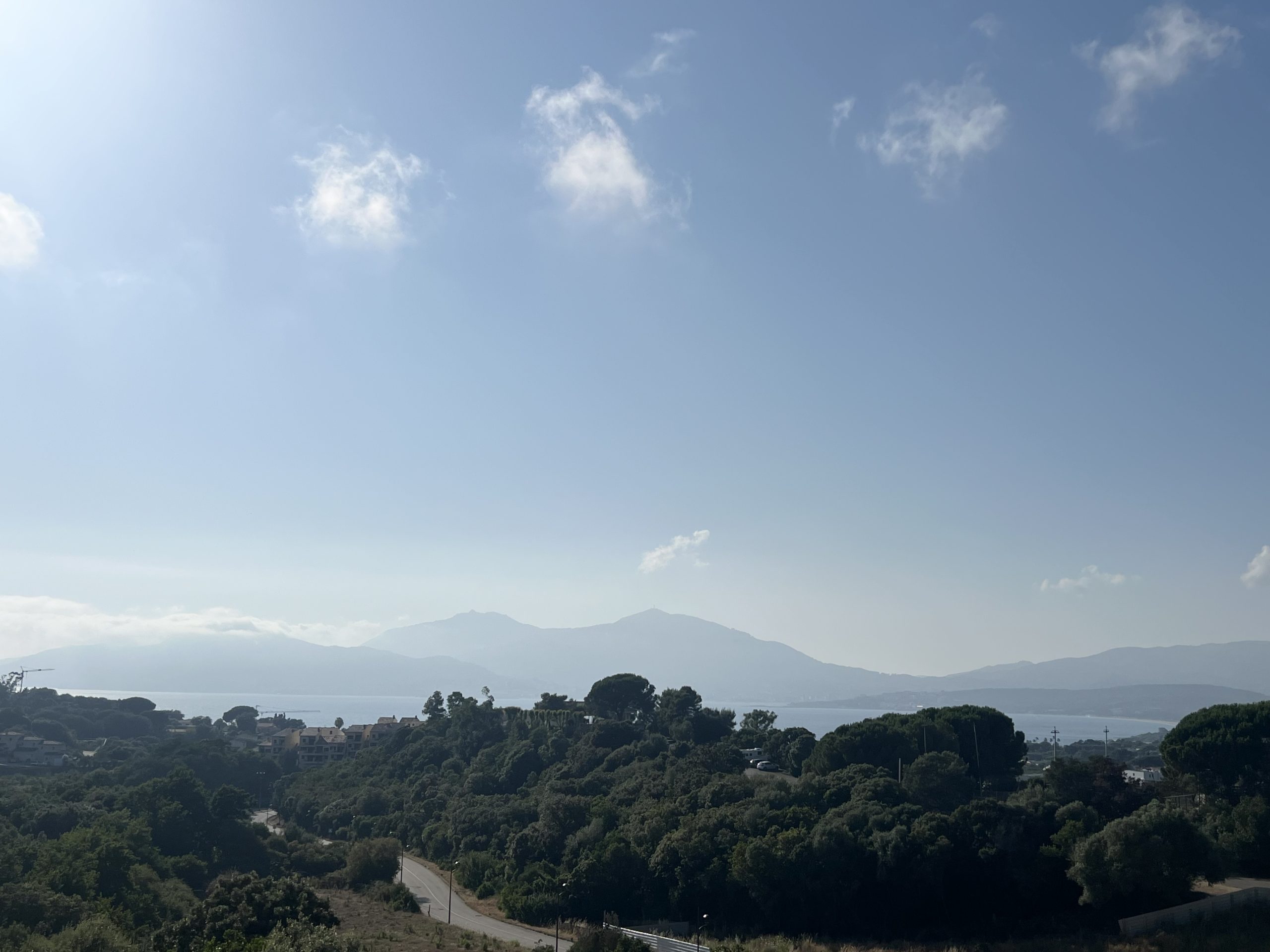 Vue 