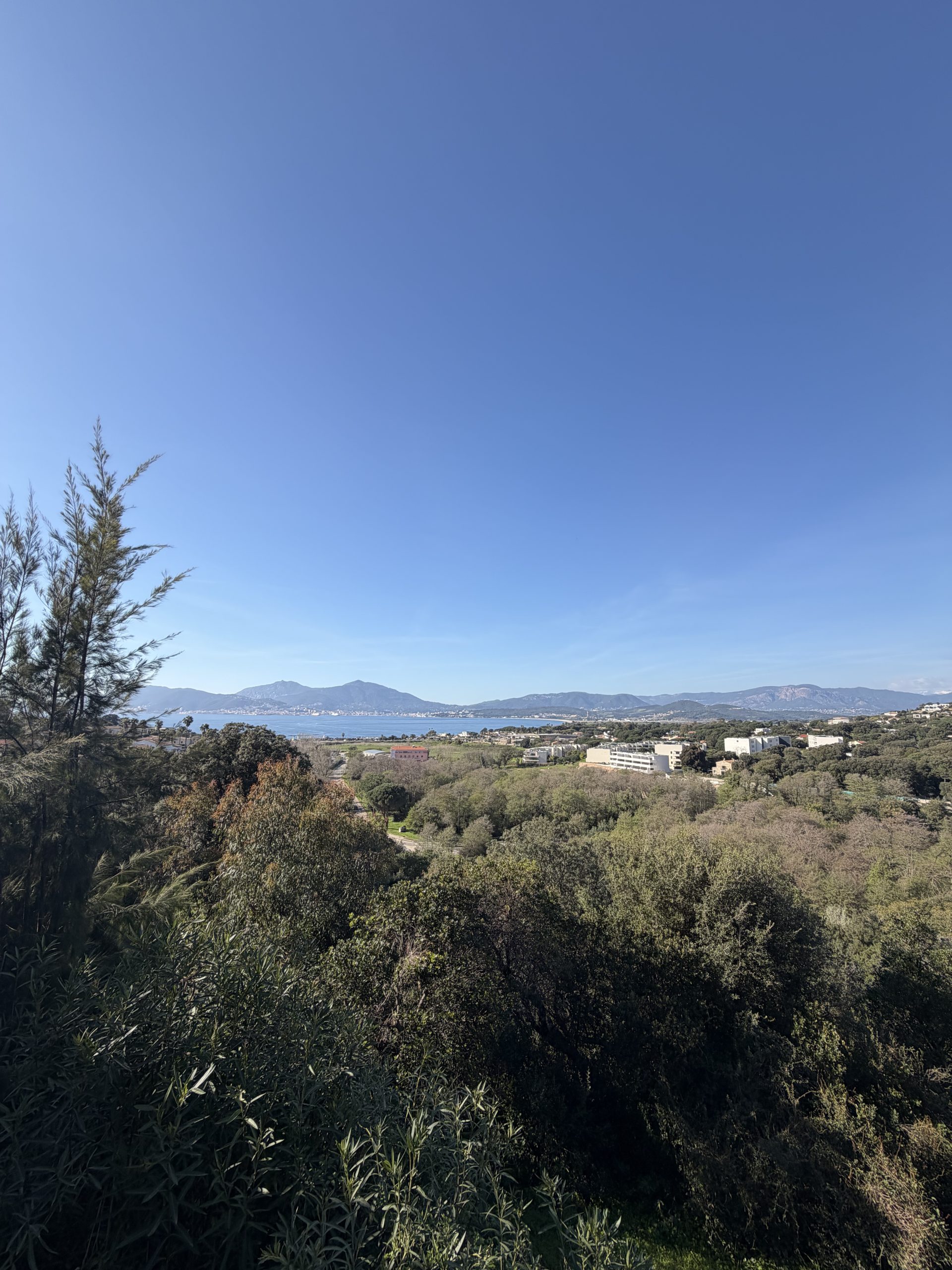 Vue