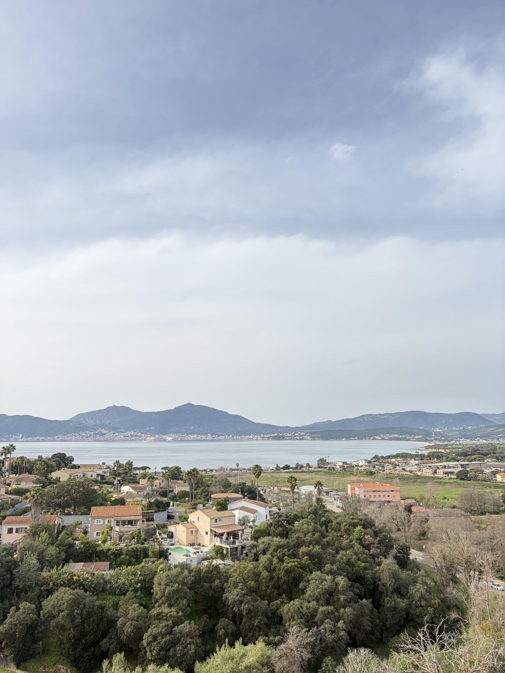 Vue