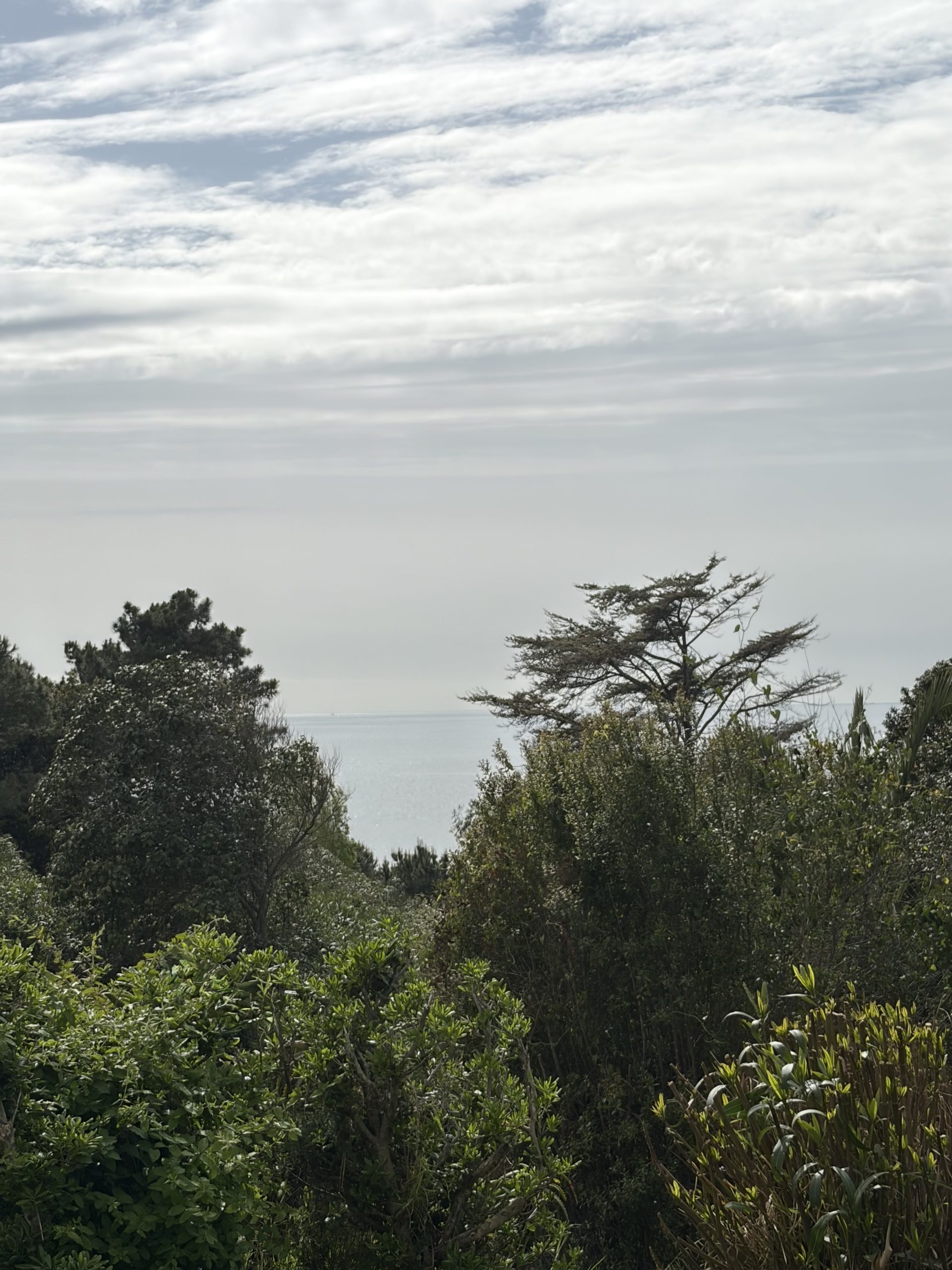 Vue